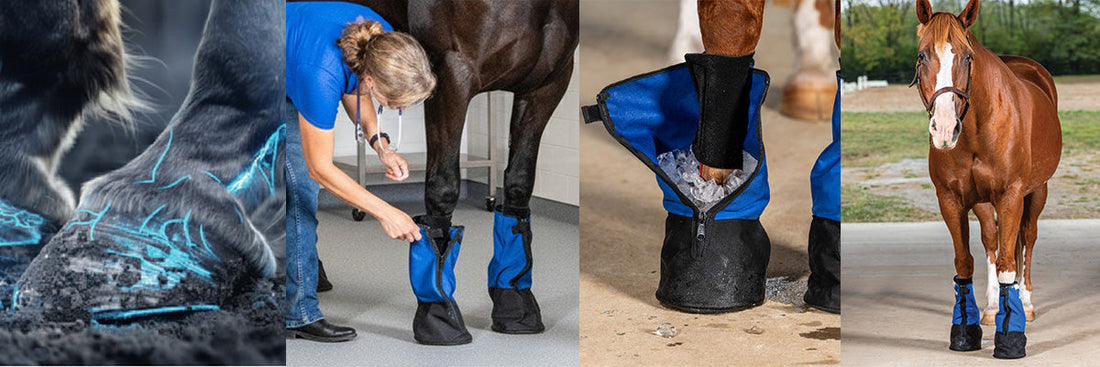 How to Treat Laminitis in Horses: A Step-by-Step Guide