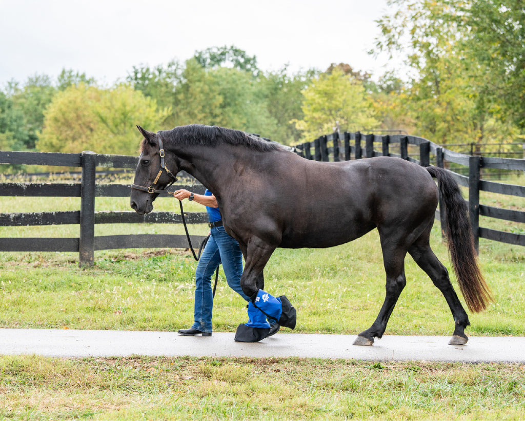 CryoStride™ Cooling Boots