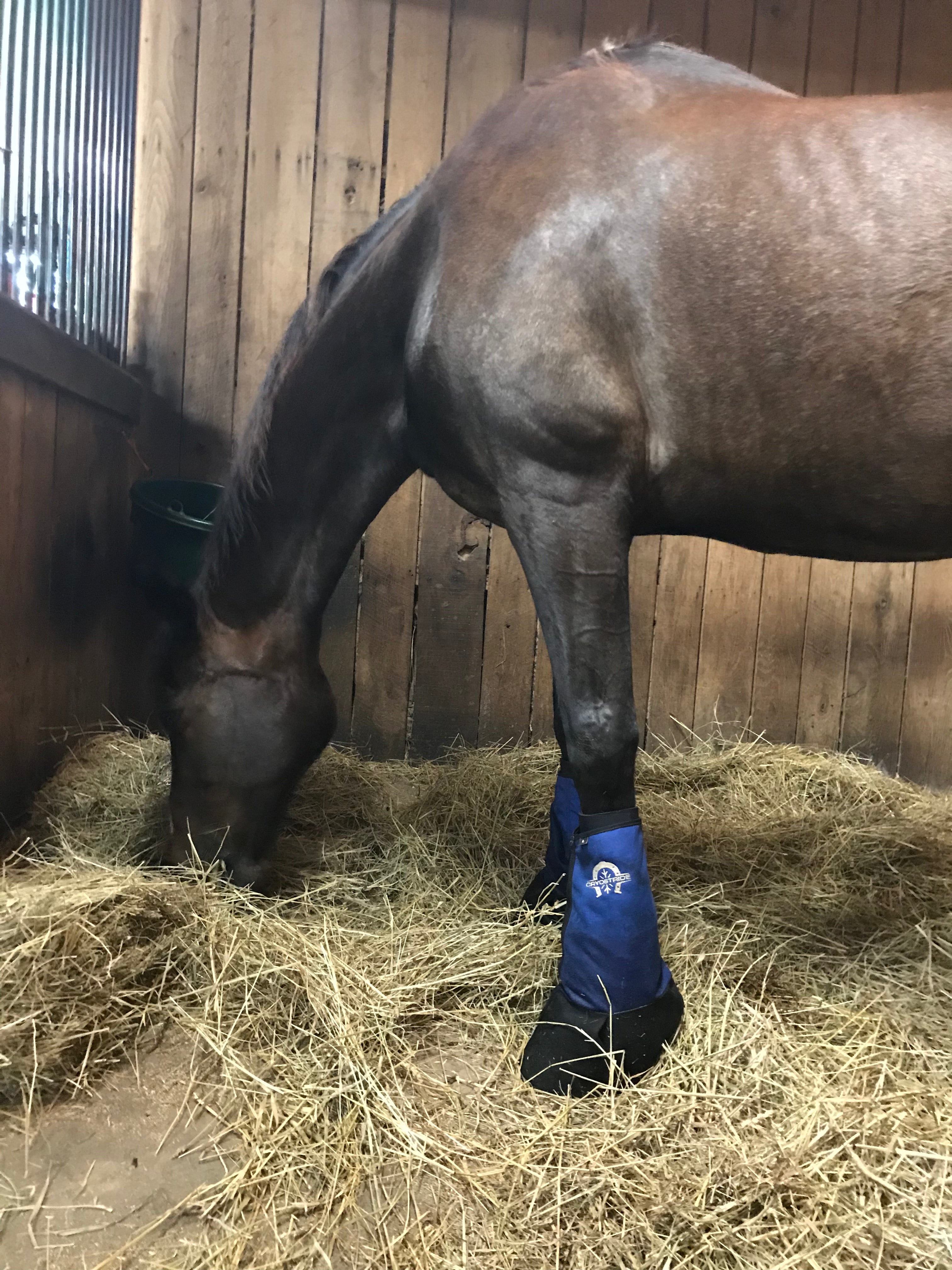 CryoStride™ Cooling Boots