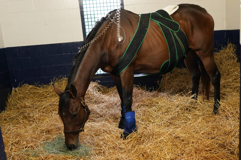 CryoStride™ Cooling Boots