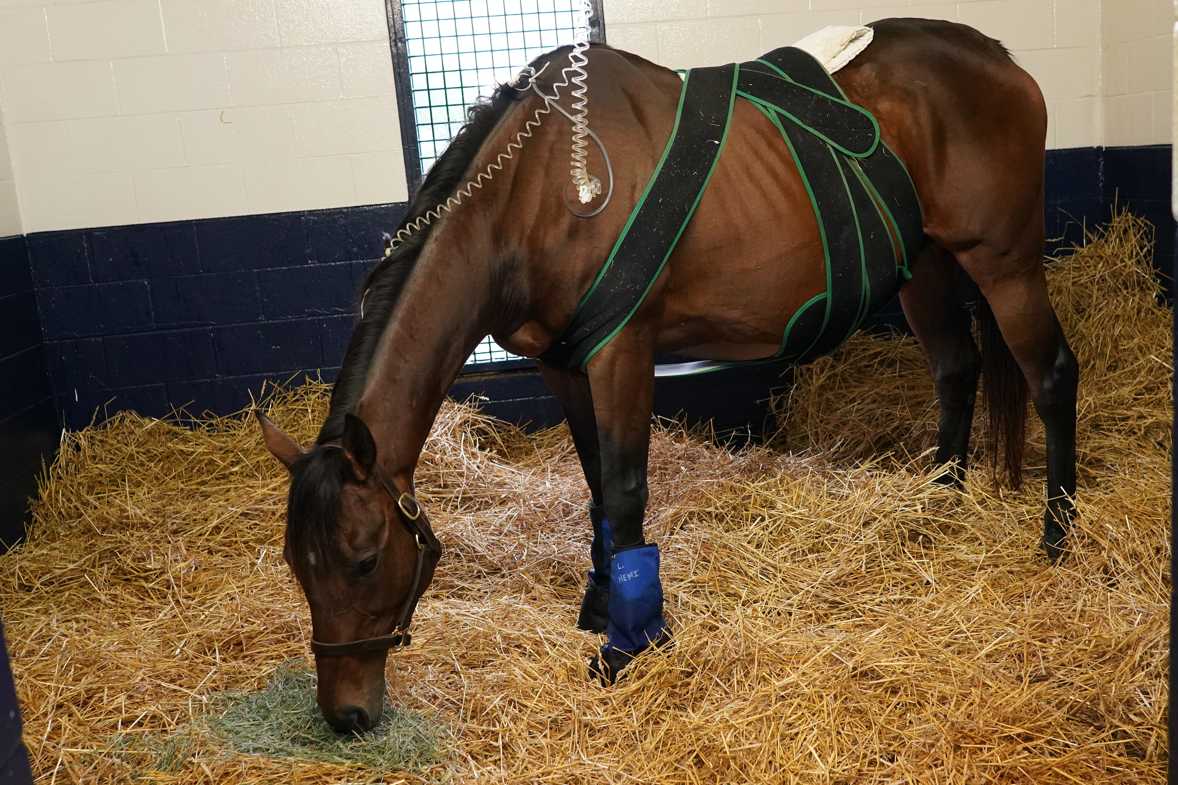 CryoStride™ Cooling Boots